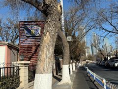 -天津五大道文化旅游区