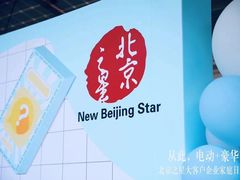 -北京之星奔驰4S店(亦庄店)