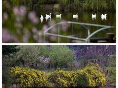 -黄陂区野村谷景区