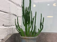 -高力乐面包咖啡厅(西塔店)