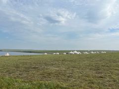 -呼和诺尔旅游景区