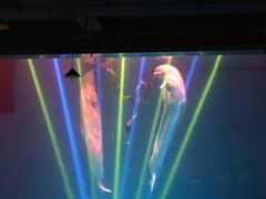 -芜湖新华联大白鲸海洋公园