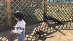 -萌宠亲子动物乐园(槐房万达店)