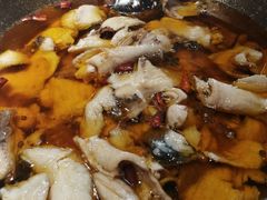 蜀龙阁水煮鱼-雲蜀龙阁·金牌水煮鱼(方庄店)