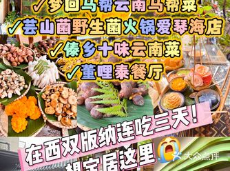 在西双版纳连吃三天！想定居这里