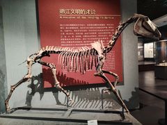 -齐齐哈尔市博物馆
