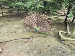 -哈尔滨北方森林动物园