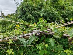 -西山人家·二十年老字号农家菜(旺山店)