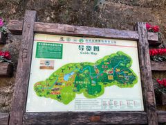 -西双版纳原始森林公园
