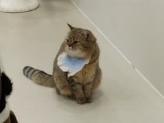 -共舞时光猫咖·狗咖(新街口店)