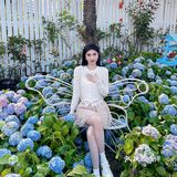 绣球花真的好温柔💐海如的花园