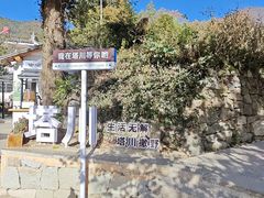-塔川景区