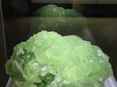 -湖南省地质博物馆