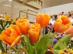 -花邻FloweringLife花艺气球派对(武康大楼店)