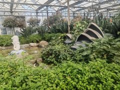 -南宫五洲植物乐园