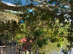 -芦仙山景区-飞越丛林探险乐园