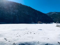 -柯尼希湖