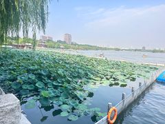 -济南大明湖景区