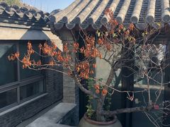 -糖房咖啡(南锣鼓巷店)