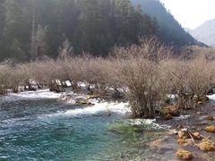 景点-九寨沟-树正沟