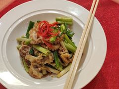 -中苑海韵