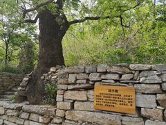 -井塘古村