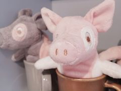 -WHEN PIGS FLY当猪飞