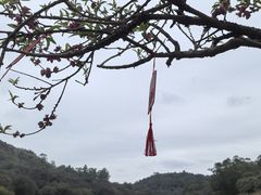 -南国桃园旅游度假区