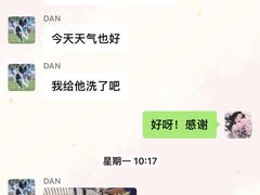 -趣玩宠物乐园寄养训犬训狗游泳池