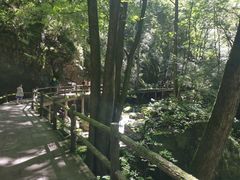 -牛背梁国家森林公园