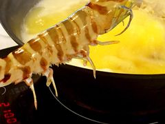 -鲜入围煮花胶鸡海鲜火锅