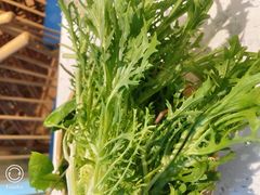 -攀枝花野菜铜火锅(万科凯德店)