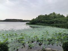 -丁香湖公园