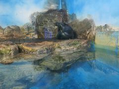 -锦艺城海洋馆