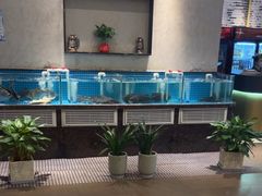 -汉水谣·江景餐厅(江滩店)