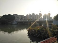 -光明港公园