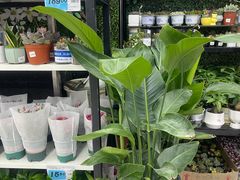 -大润发(康桥店)