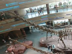 -安徽省地质博物馆