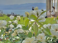 -昆明春城湖畔度假村