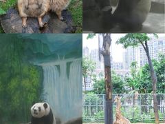 -灵玲国际马戏城