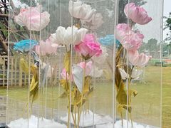 -祥源·阜阳生态乐园