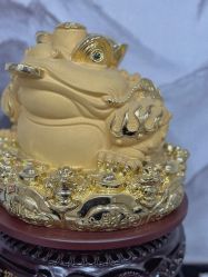 -周姐健康瘦身祛斑管理