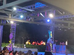 -渔家火锅·海鲜自助餐·演艺(亚龙湾天域酒店)