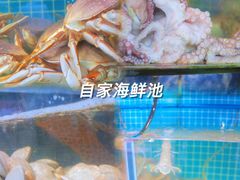 -范饭椰林川湘味海鲜·椰子鸡(三亚湾椰梦长廊店)