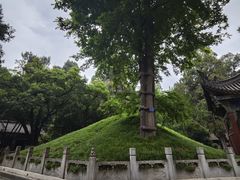 -武侯墓风景区