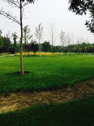 -大望京儿童游乐场