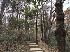 -九曜山