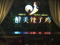 -天山醉美辣子鸡(文艺路店)