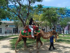 -华夏文旅海洋公园