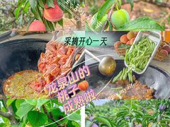 -桃源山庄·水蜜桃采摘·柴火鸡·烧烤团建(龙泉山店)